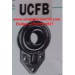 VÒNG BI FB202- BẠC ĐẠN UCFB202 - ASAHI